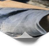 チーフ離れハンドベア1898ヴィンテージ ポスター (角)