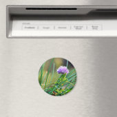 チーブブルーオングラス マグネット (インサイチュ (食洗機))