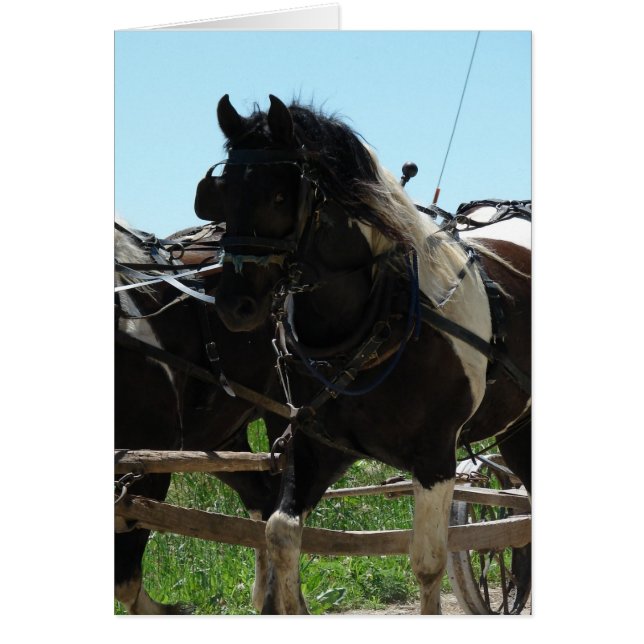 チームの一部 (正面)