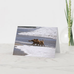 チームへの歓迎! カード