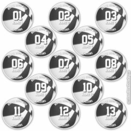 チームカラーのバスケットボール選手13人のステッカー シール