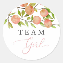 チームガールジェンダーパーティー投票ピーチ ラウンドシール