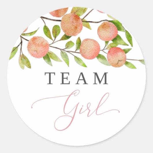 チームガールジェンダーパーティー投票ピーチ ラウンドシール (正面)