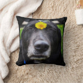 チームキャンディミーム犬の枕 クッション (ブランケット)