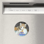 チームシェルドン磁石 マグネット (インサイチュ (食洗機))