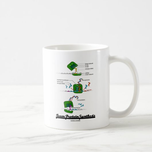 チームタンパク質合成 コーヒーマグカップ (右)