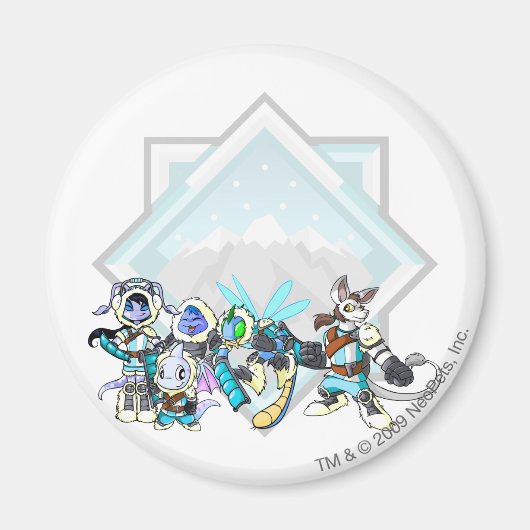 チームテロルマウンテングループ マグネット (正面)