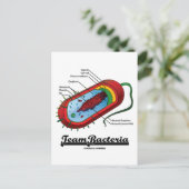チームバクテリア（原核生物） ポストカード (スタンド正面)