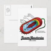 チームバクテリア（原核生物） ポストカード (正面/裏面)
