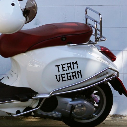 チームビーガン、アクティビズム シール