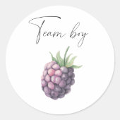 チームベビーとは何か ラウンドシール (正面)