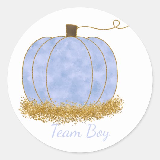 チームボーイカボチャ性別パーティー投票を表示 ラウンドシール (正面)