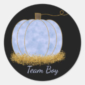 チームボーイカボチャ性別パーティー投票を表示 ラウンドシール (正面)