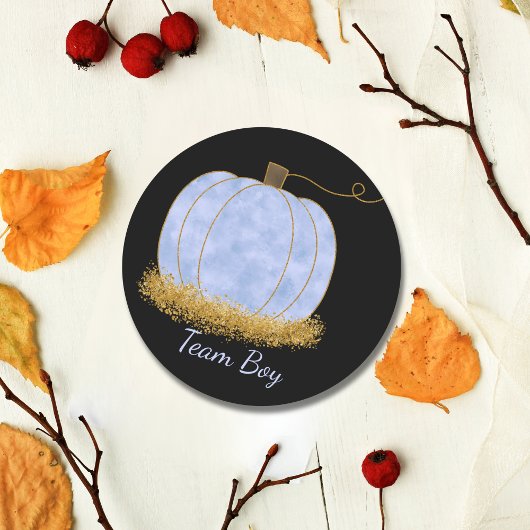 チームボーイカボチャ性別パーティー投票を表示 ラウンドシール