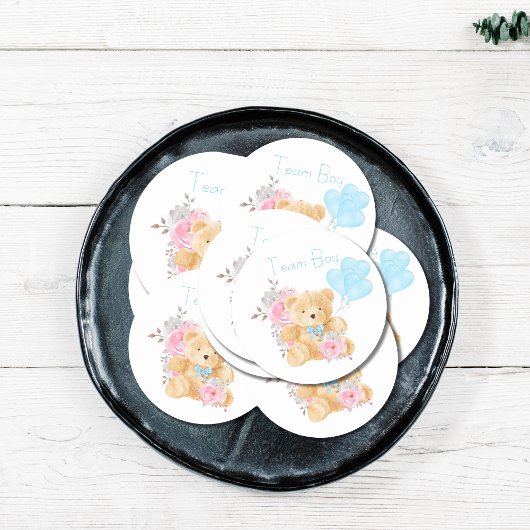 チームボーイジェンダーがパーティー投票を明らかにする ラウンドシール