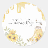 チームボーイビーひまわり花ジェンダーパーティー投票を表示 ラウンドシール (正面)