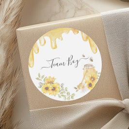 チームボーイビーひまわり花ジェンダーパーティー投票を表示 ラウンドシール