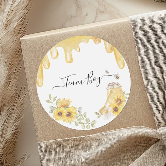 チームボーイビーひまわり花ジェンダーパーティー投票を表示 ラウンドシール