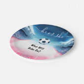 チームボールピッチおもしろいサッカーフィールド性別の表示 ペーパープレート (アングル)