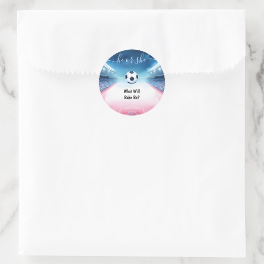 チームボールピッチおもしろいサッカーフィールド性別の表示 ラウンドシール (バッグ)