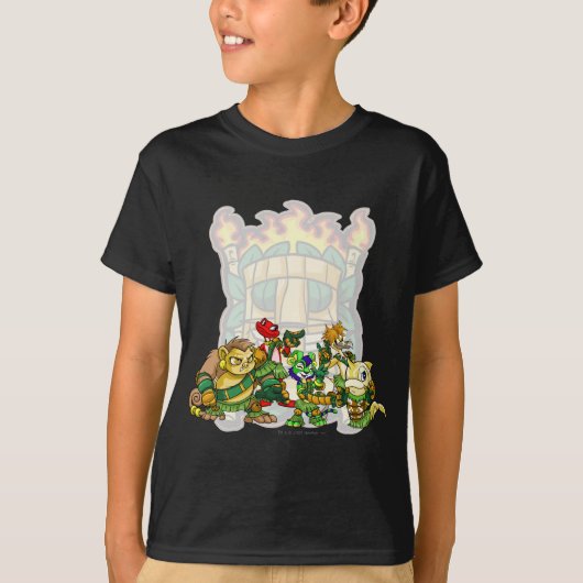 チームミステリー島グループ Tシャツ (正面)