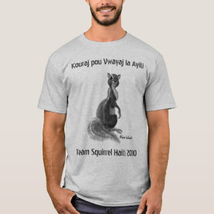 チームリスハイチ2010年 Tシャツ