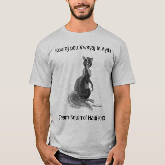 チームリスハイチ2010年 Tシャツ