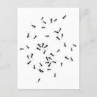 チームワークが夢の仕事 ポストカード