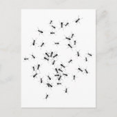 チームワークが夢の仕事 ポストカード (正面)