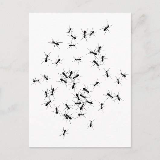 チームワークが夢の仕事 ポストカード (正面)