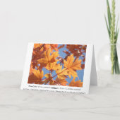 チームワークやる気を起こさせるカ感謝していード秋 サンキューカード (裏面)