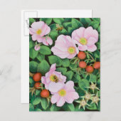 チームワーク2011 ポストカード (正面/裏面)