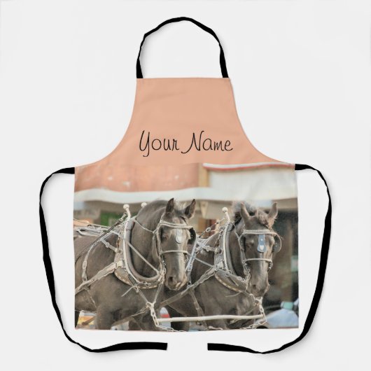 チームワーク エプロン (正面)