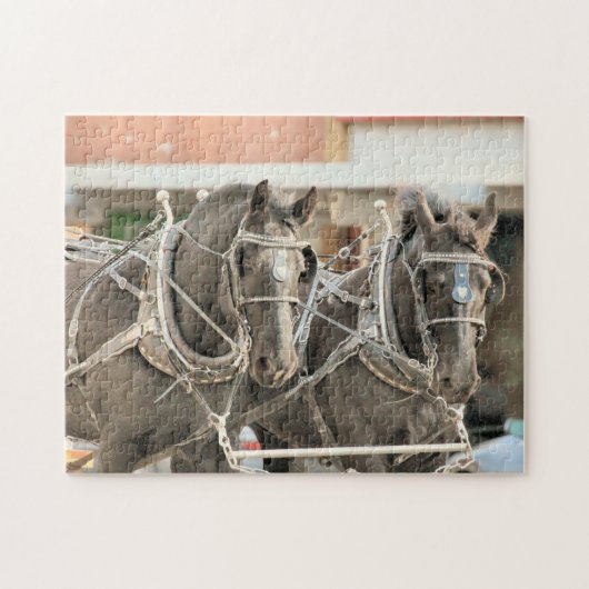 チームワーク ジグソーパズル (横)