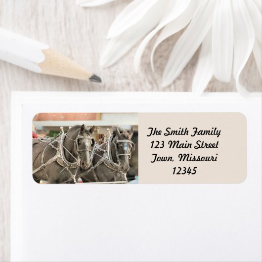 チームワーク ラベル (インサイチュ)