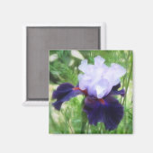 チームワーク – 背の高い髭の虹彩 マグネット (正面/裏面)