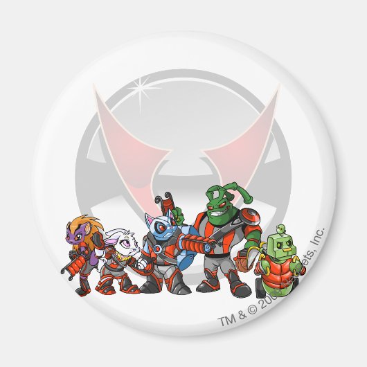 チーム仮想宇宙ステーショングループ マグネット (正面)