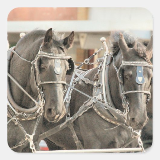 チーム作業 スクエアシール (正面)