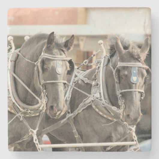 チーム作業 ストーンコースター (正面)