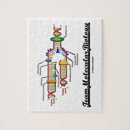 チーム分子生物学(DNAの写し) ジグソーパズル (縦)