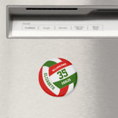 チーム名を持つ赤緑白バレーボール マグネット (インサイチュ (食洗機))