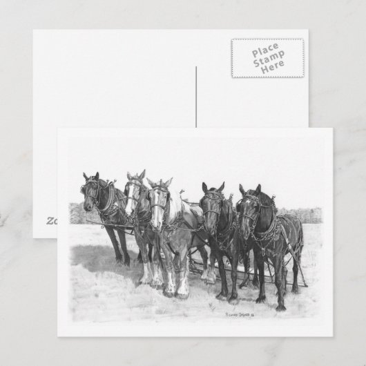 チーム ポストカード (正面/裏面)