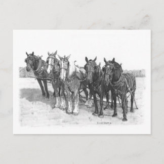 チーム ポストカード