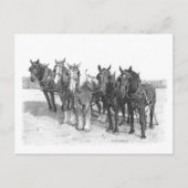 チーム ポストカード (正面)