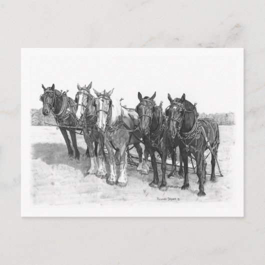 チーム ポストカード (正面)