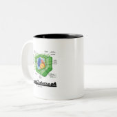 チームAutotroph (植物の細胞生物学) ツートーンマグカップ (正面左)