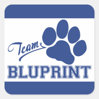 チームBluPrintスクエアシール スクエアシール