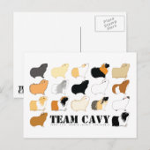 チームCAVY ポストカード (正面/裏面)
