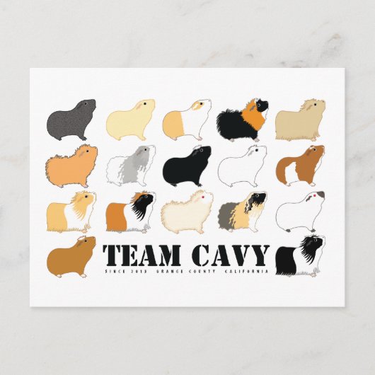 チームCAVY ポストカード (正面)