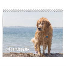 チームJoey Jax 2016年